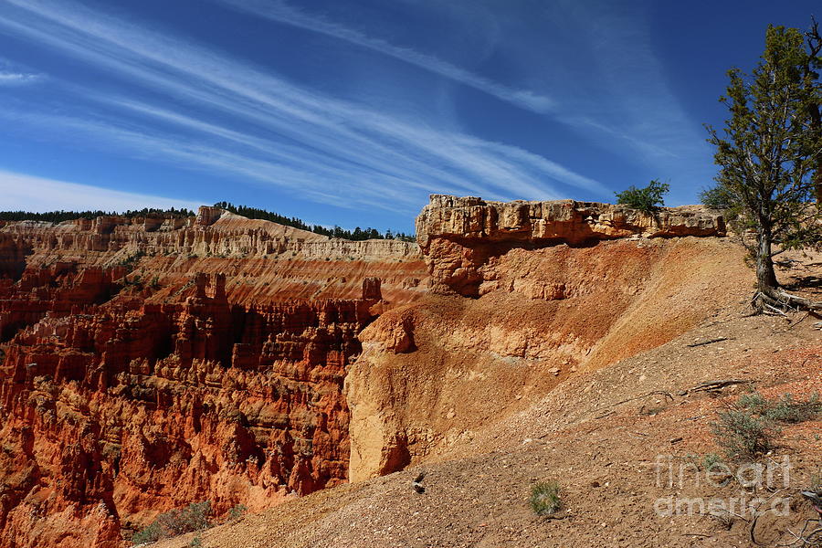 Bryce Canyon View At Sunset Point Photograph by Christiane Schulze Art And Photography