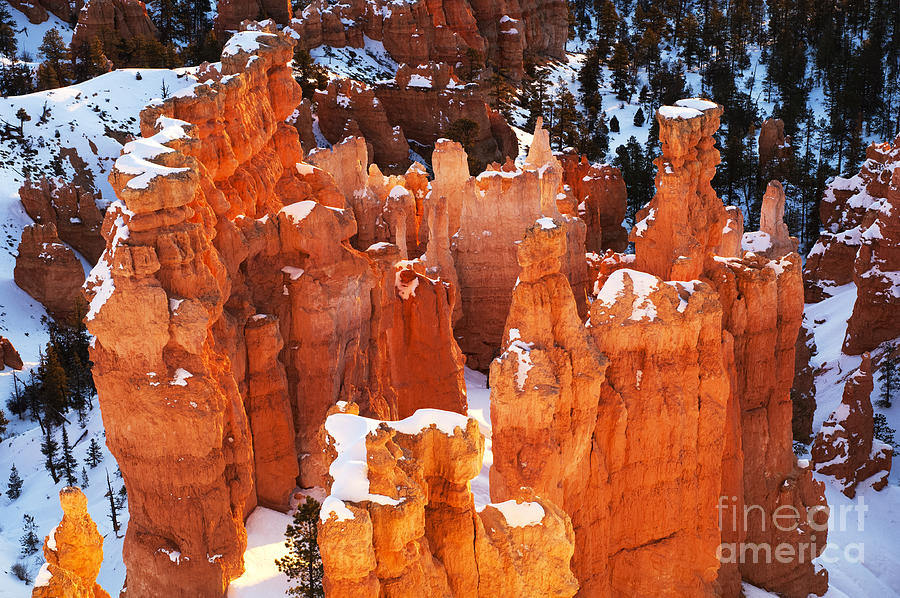 Bryce Canyon Winter 1 Photograph by Bob Christopher