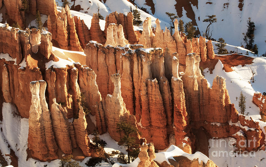 Bryce Canyon Winter 2 Photograph by Bob Christopher