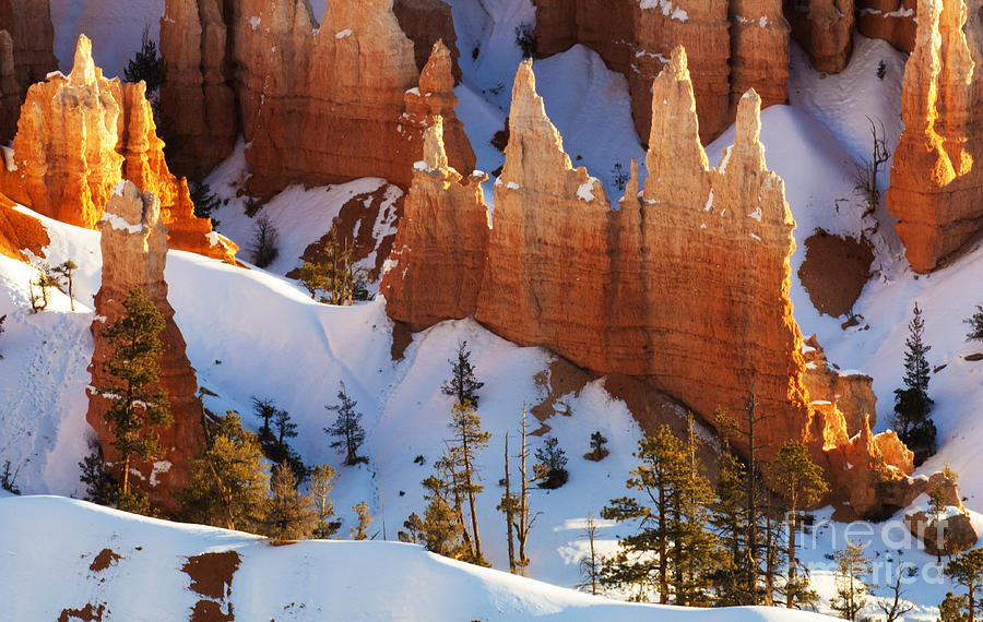 Bryce Canyon National Park Photograph - Bryce Canyon Winter 3 by Bob Christopher
