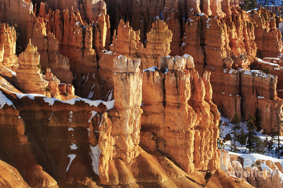 Bryce Canyon Winter 5 Photograph by Bob Christopher