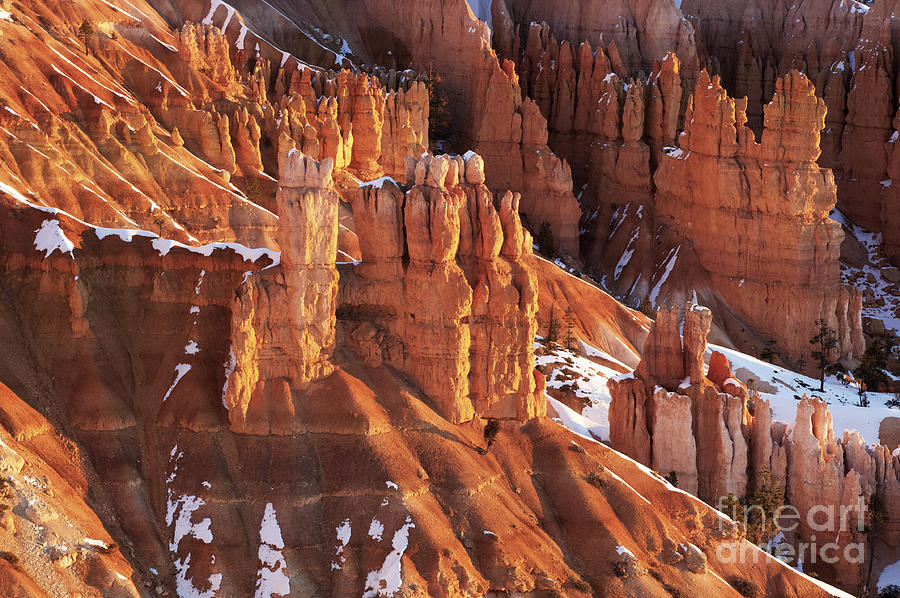 Bryce Canyon Winter 7 Photograph by Bob Christopher