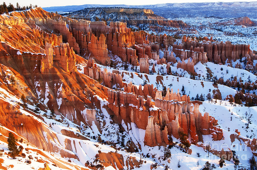 Bryce Canyon Winter 8 Photograph by Bob Christopher