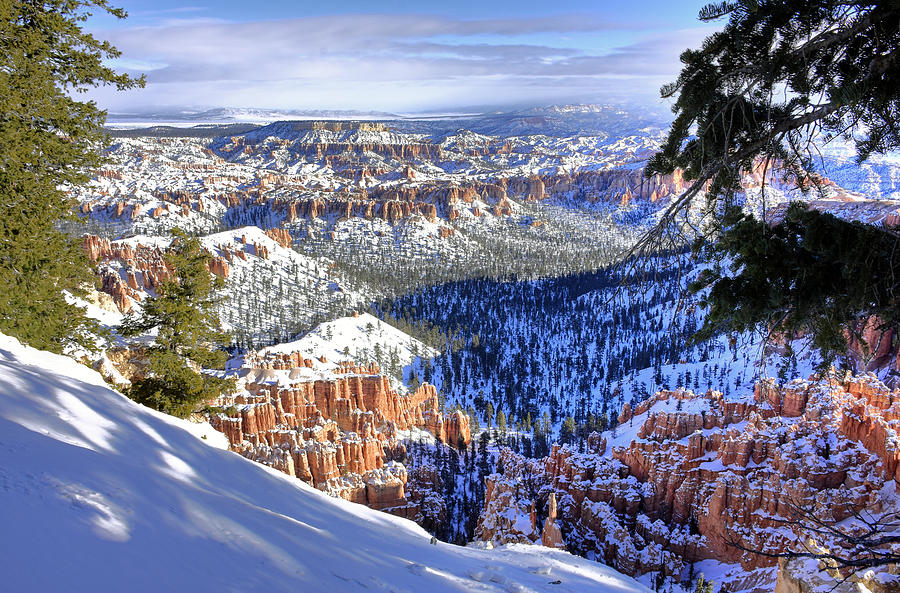 Bryce Canyon Winter Photograph by Dan Myers