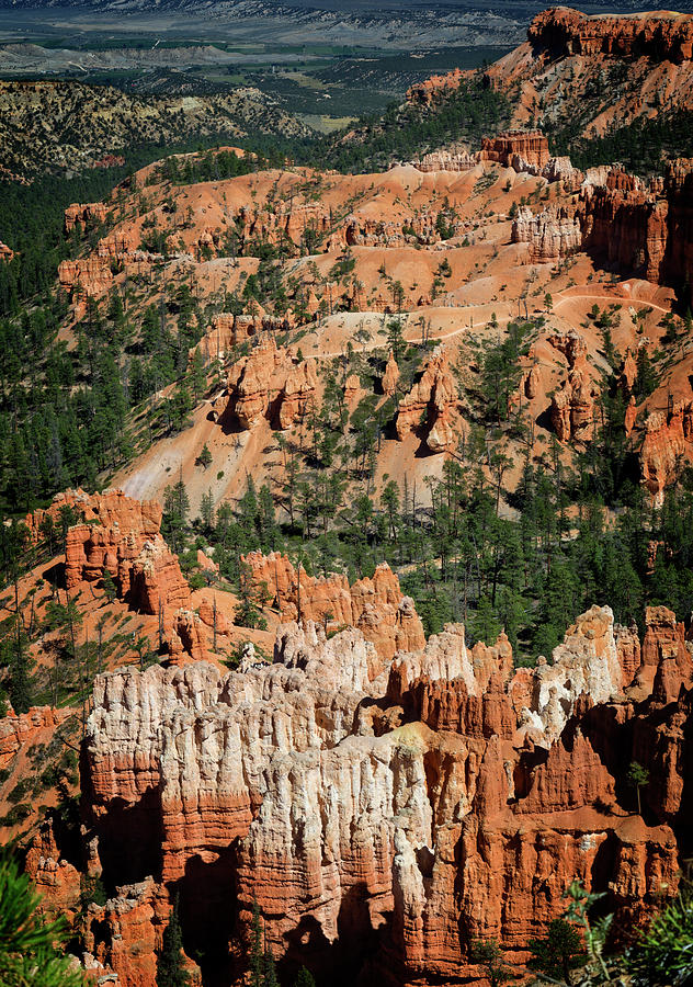 Bryce Canyon XII Photograph by Ricky Barnard