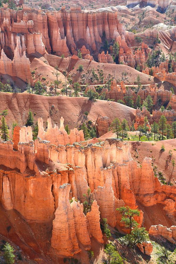 Bryce Canyons Queen Garden Photograph by Ray Mathis