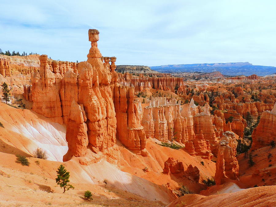 Bryce Hoodoos Photograph by Charlotte Schafer