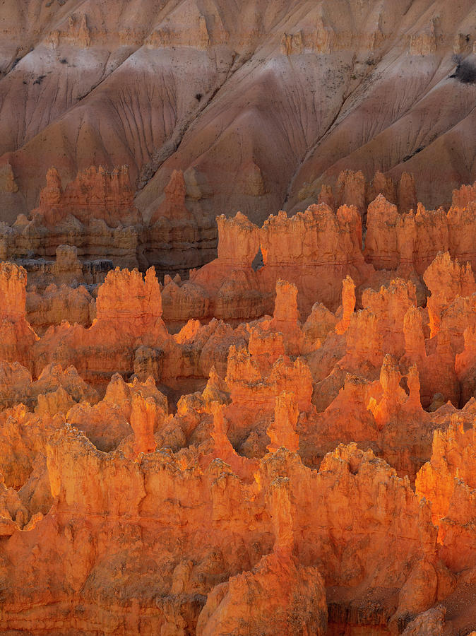 Bryce Hoodoos Photograph by Emily Dickey