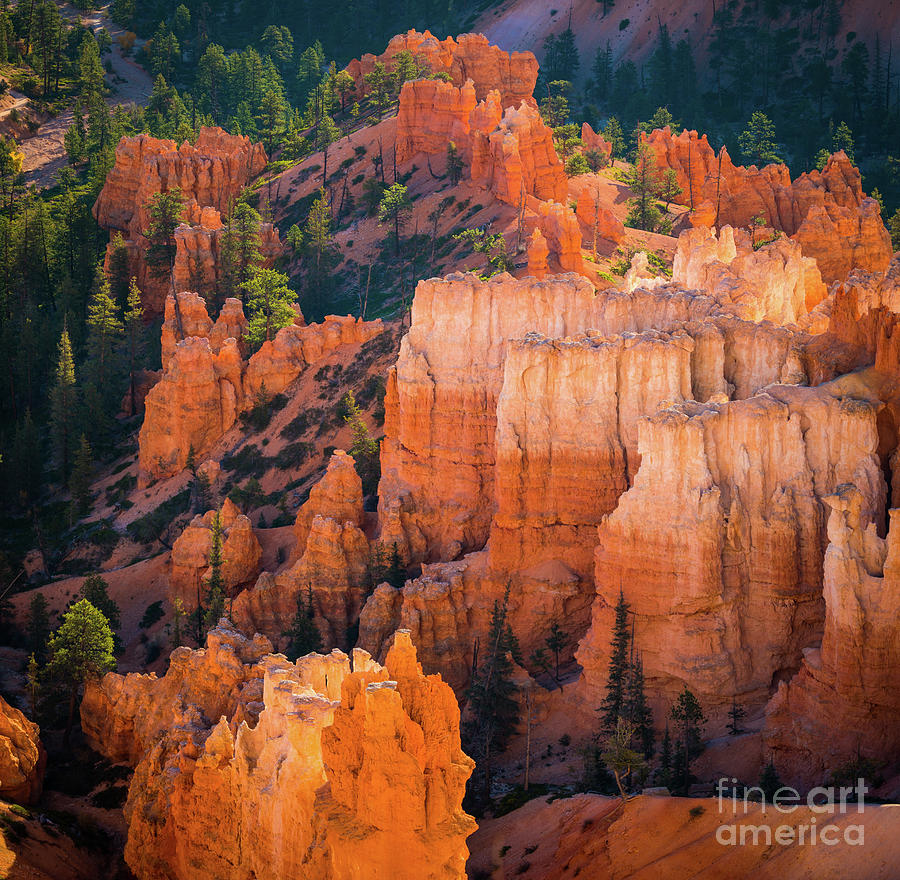 Bryce Hoodoos Photograph by Inge Johnsson