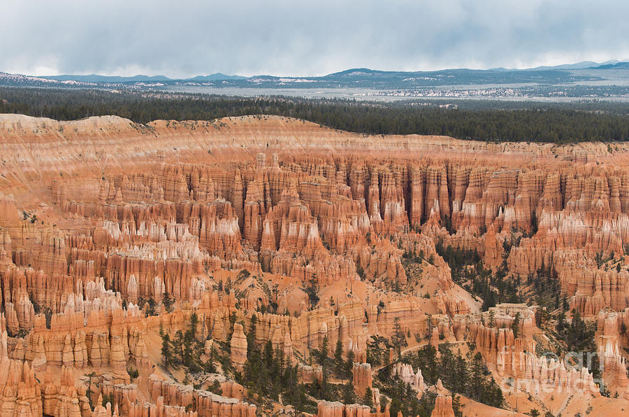 Bryce HooDoos Photograph by Louise Magno