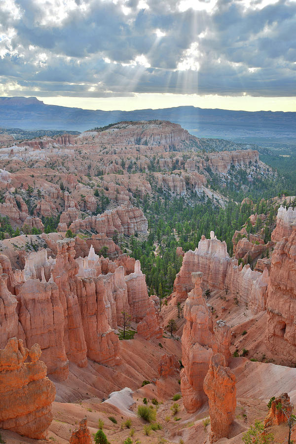 Bryce Morning Photograph by Ray Mathis