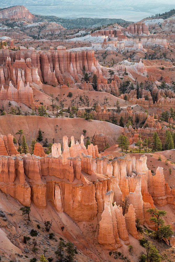 Bryce Morning View Photograph by Denise Bush
