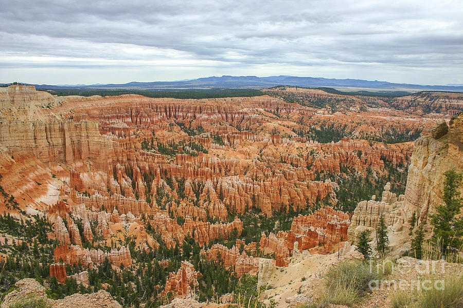 Bryce National Park  Photograph by Patricia Hofmeester