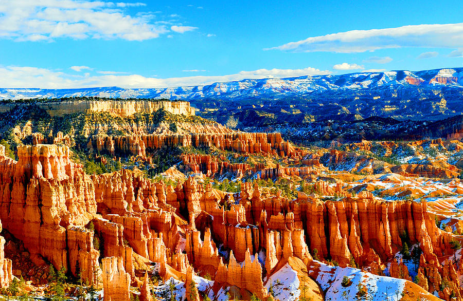 Bryce Overlook Photograph by Frank Houck