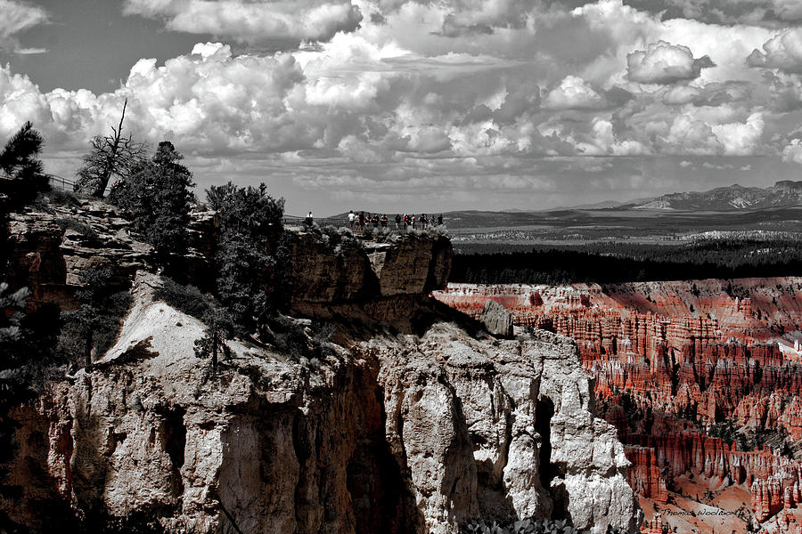 Bryce Point Bryce Canyon Utah 01 SC 02 Photograph by Thomas Woolworth