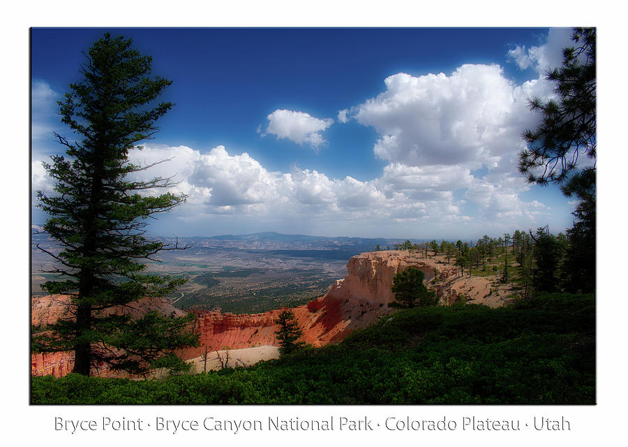 Bryce Point Bryce Canyon Utah 03 Text Photograph by Thomas Woolworth