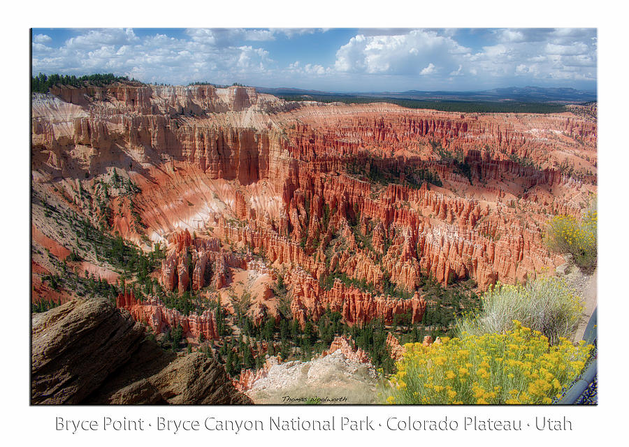 Bryce Canyon National Park Photograph - Bryce Point Bryce Canyon Utah 04 Text by Thomas Woolworth