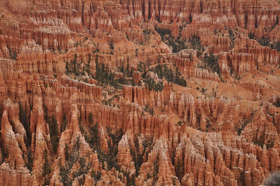 Bryce Point Photograph by Frank Madia