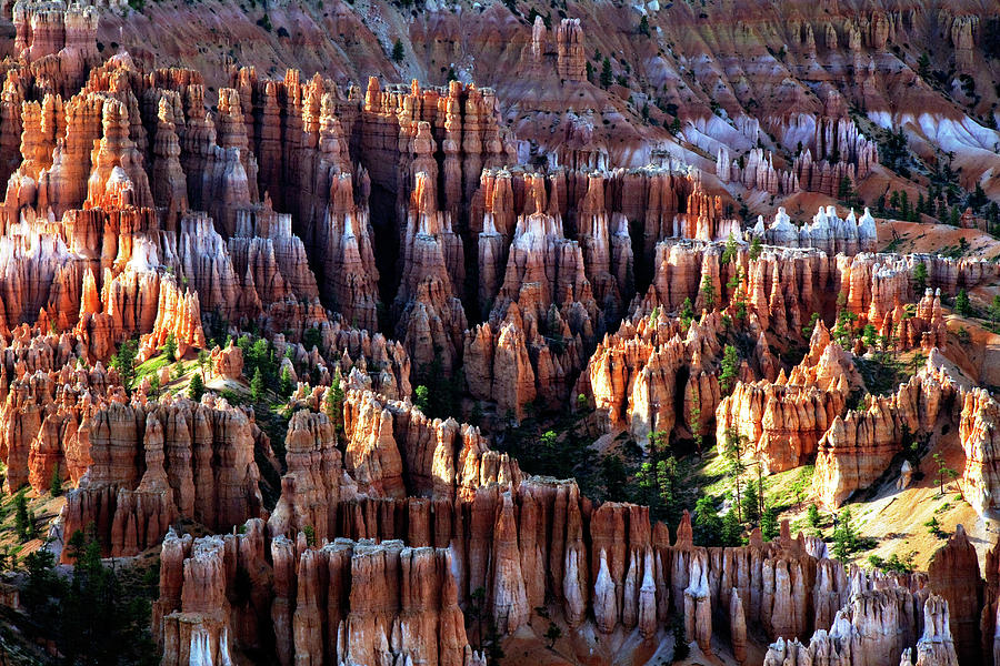 Bryce Canyon National Park Photograph - Bryce Point by Lana Trussell