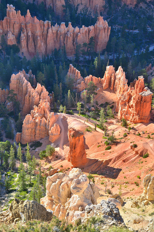 Bryce Point Overlook Photograph by Ray Mathis