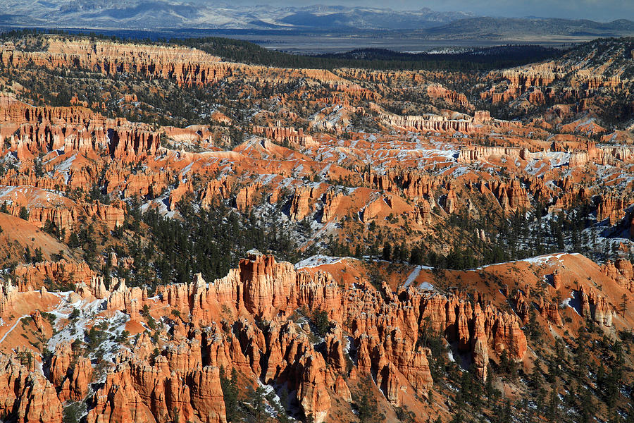 Bryce Point Photograph