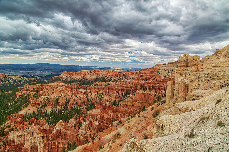 Bryce Canyon National Park Photograph - Bryce Pt.,  8b8081H by Stephen Parker