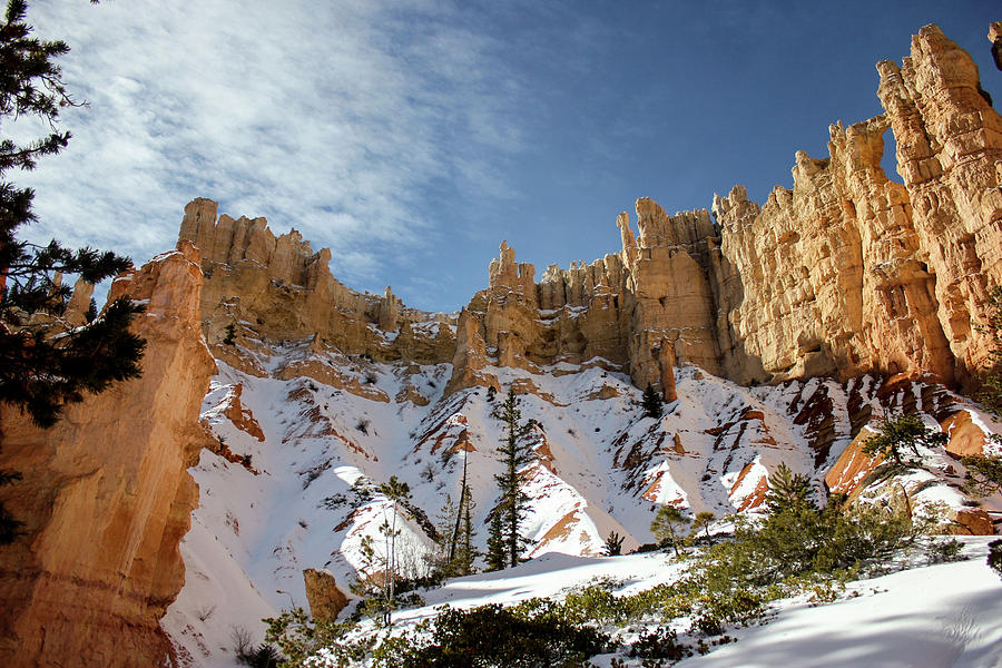 Bryce Towers by Jessica Tabora Bryce Towers by Jessica Tabora