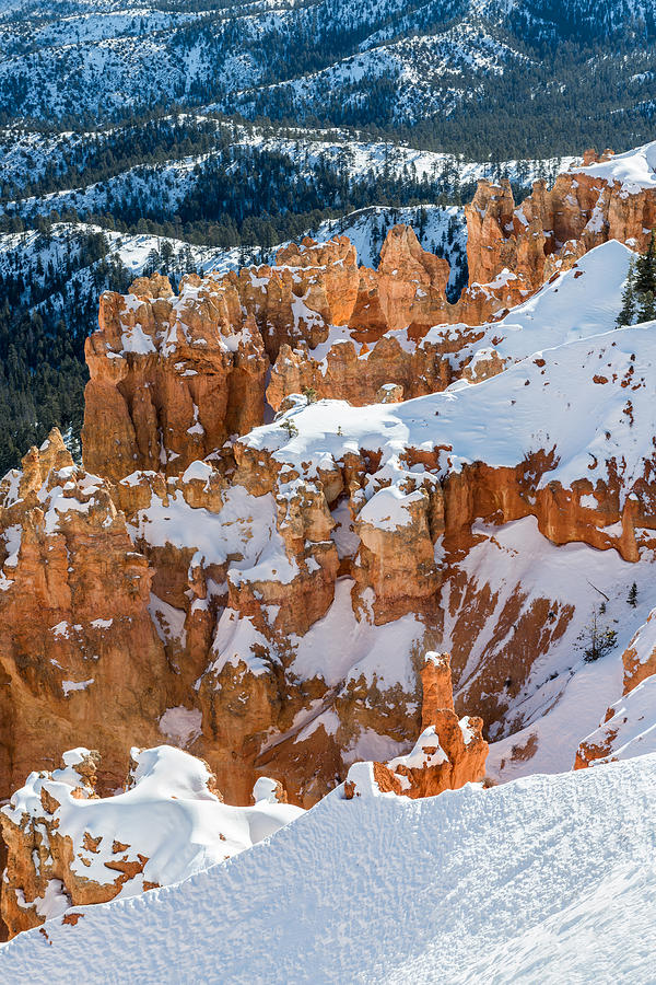 Bryce Canyon National Park Photograph - Bryce Winter by Joseph Smith