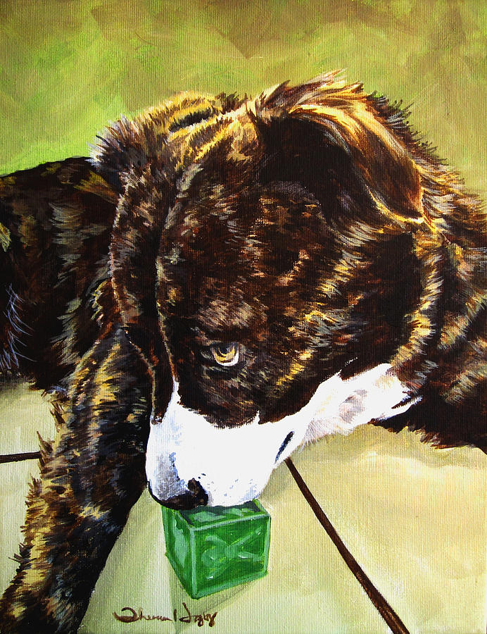 Pet Painting - Bryndals Toy by Theresa Higby Pet Painting - Bryndals Toy by Theresa Higby