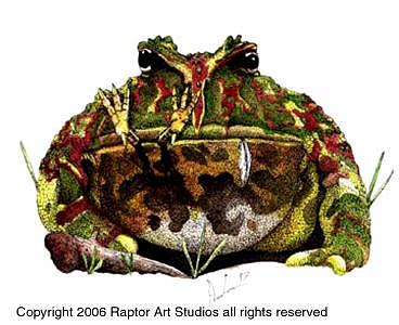 Bubba Joe Painting by Preston Shupp Bubba Joe Painting by Preston Shupp