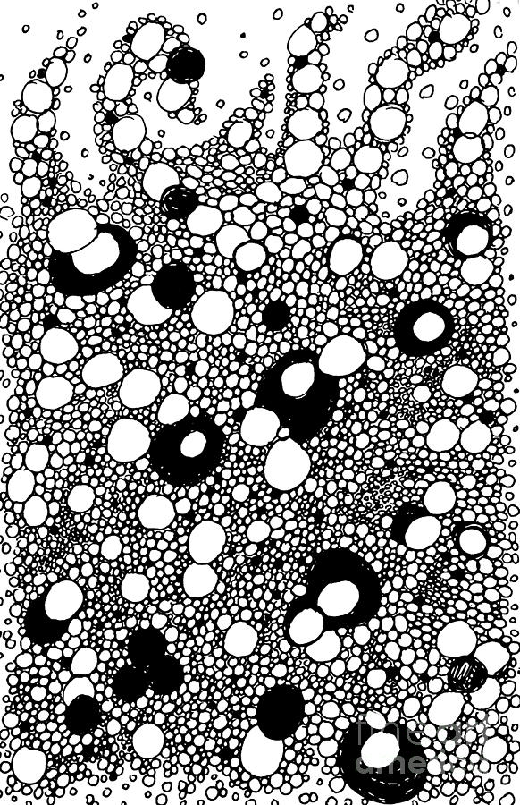 Black And White Drawing - Bubble Doodle by Sarah Loft