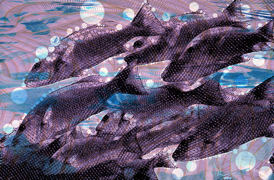 Bubble Fish Painting by David Derr | Fine Art America