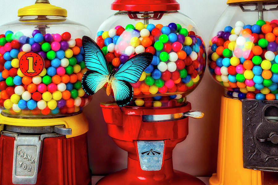 Bubblegum Machines And Butterfly Photograph by Garry Gay