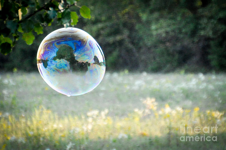 Bubbles - 1 Photograph by Cheryl McClure