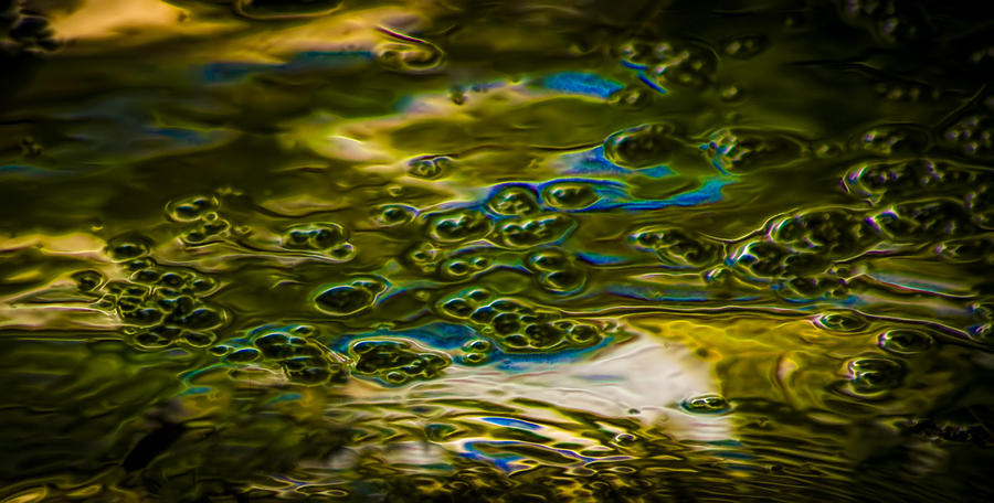 Bubbles And Reflections Photograph by Marvin Spates