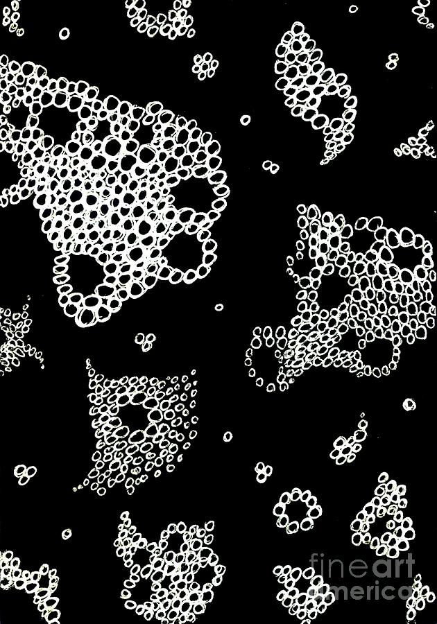 Bubbles Drawing by Helena Tiainen
