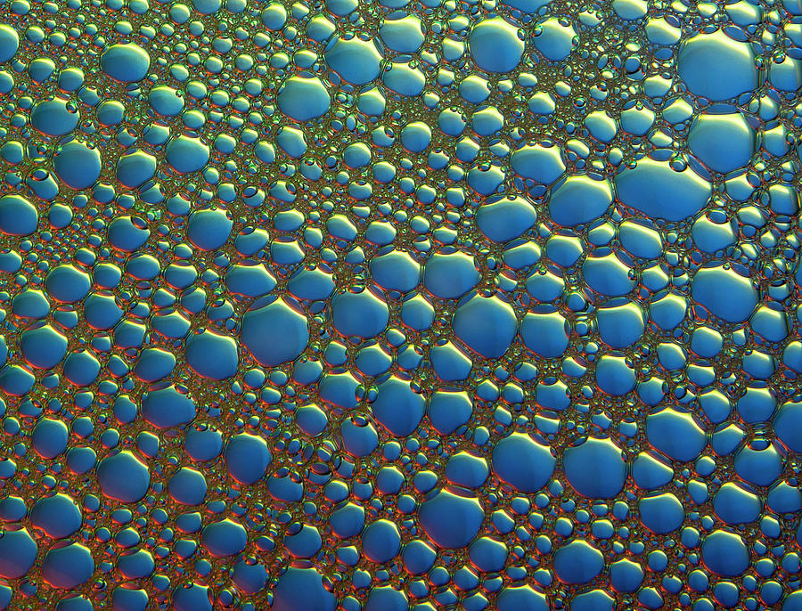 Bubbles. Like Dragon Scales. Photograph
