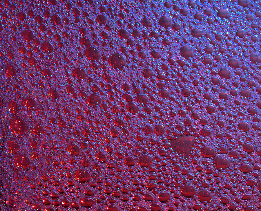 Bubbles In Dark Red As A Beautiful Background Or Texture Photograph