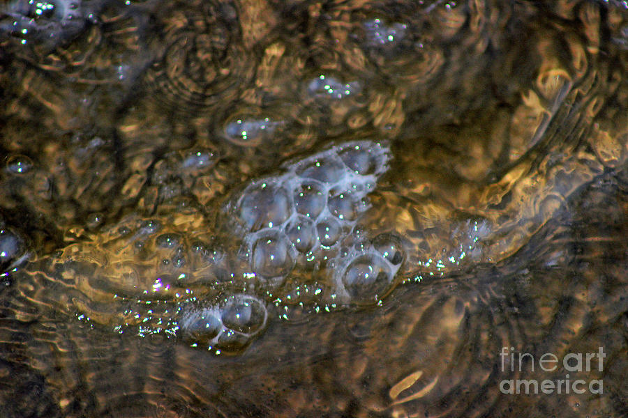 Bubbles in Nature Abstract Photograph by Karen Adams