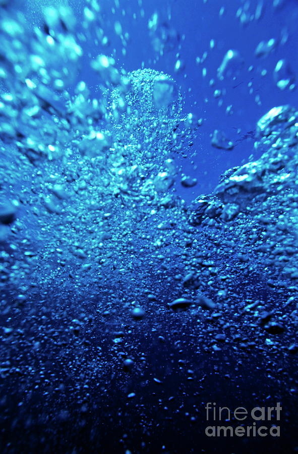 Bubbles in water floating towards surface Photograph by Sami Sarkis