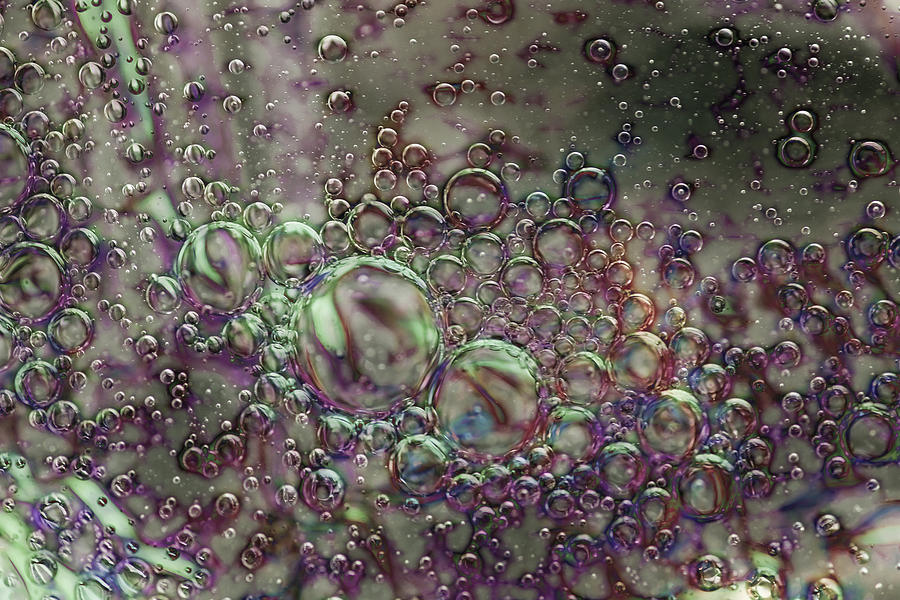 Bubbles Photograph by Judi Kubes