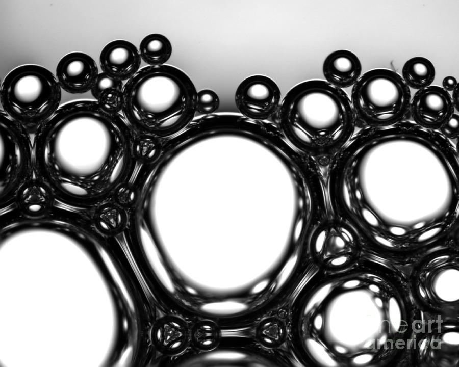 Bubbles, Lm Photograph by Lauren Piedmont