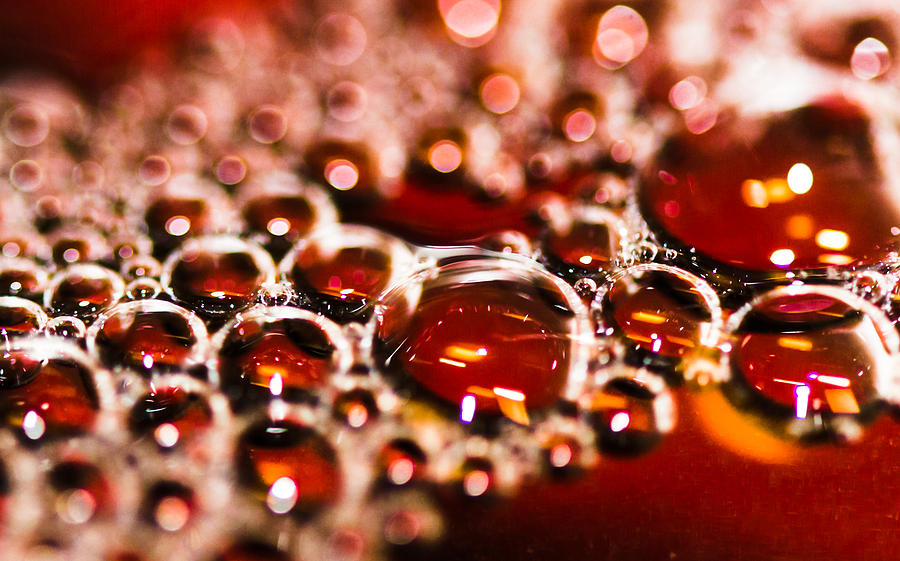Bubbles Photograph by Robert McKay Jones