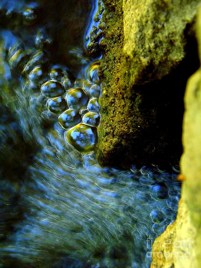 Bubbles Photograph by Viviana Nadowski