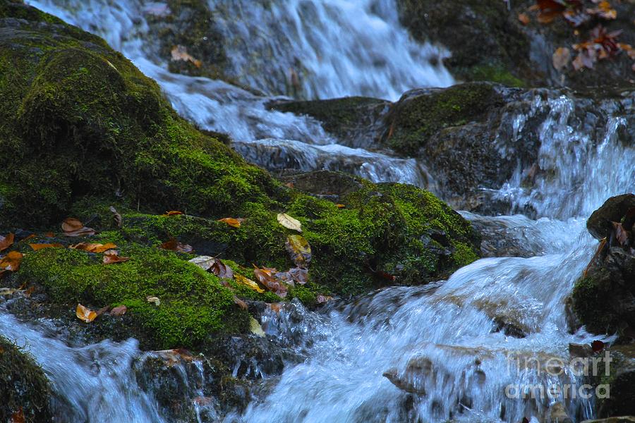 Fall Photograph - Bubbling Waterfall by Robin Erisman