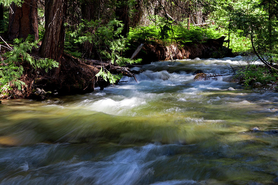 Bubbs Creek in Kings Canyon National Park Photograph by Rick Pisio