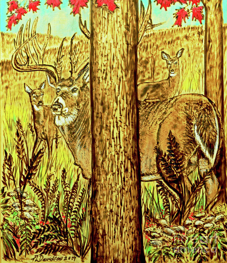 Buck And Deer  Pyrography by Pat Davidson