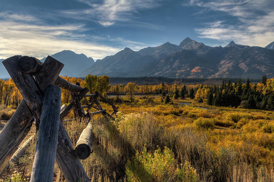 Buck and Rail to the Grand Tetons in Autumn Photograph by Mark Kiver