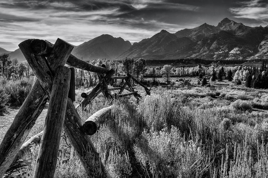 Buck and Rail to the Tetons Photograph by Mark Kiver