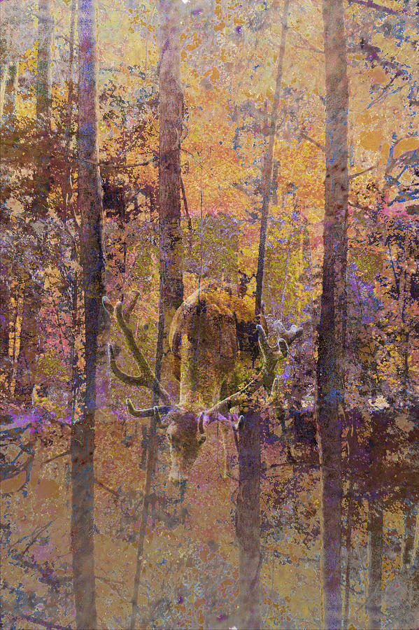 Buck Deer In Camouflage Photograph by Suzanne Powers